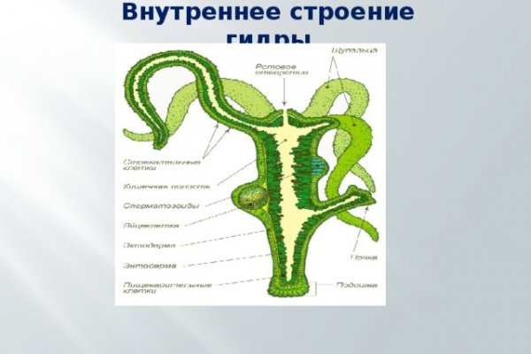 На сайте кракен пропал пользователь